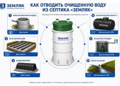 Зорде Рейн 4 Миди
