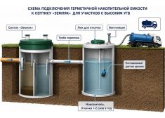 Зорде Рейн 4 Миди